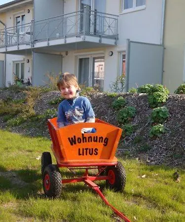 Litus *